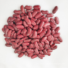 Dark Red Kidney Beans Long Shape Kidney Beans